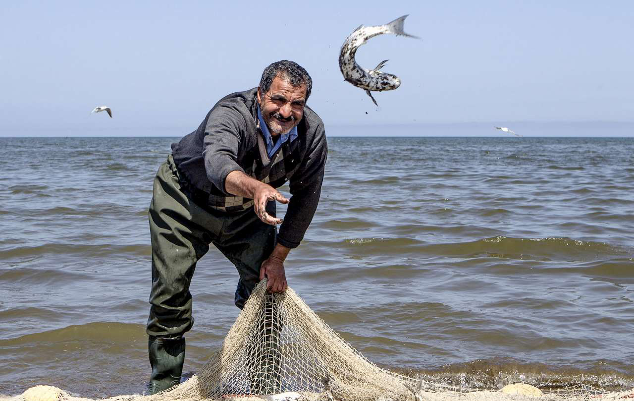 Ловить рыбу в море