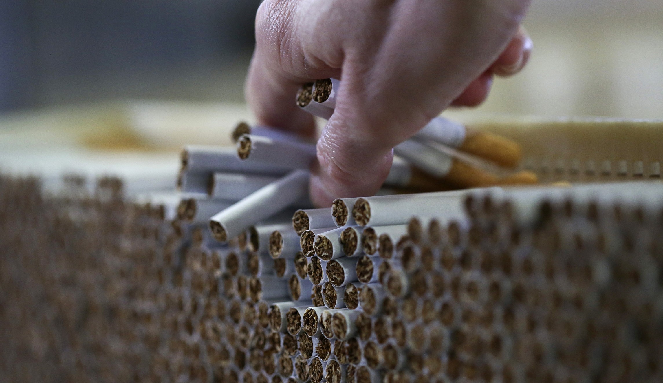 Купить производство сигарет. Табачная промышленность. Сигареты производители. Производство сигарет. Табачный завод.